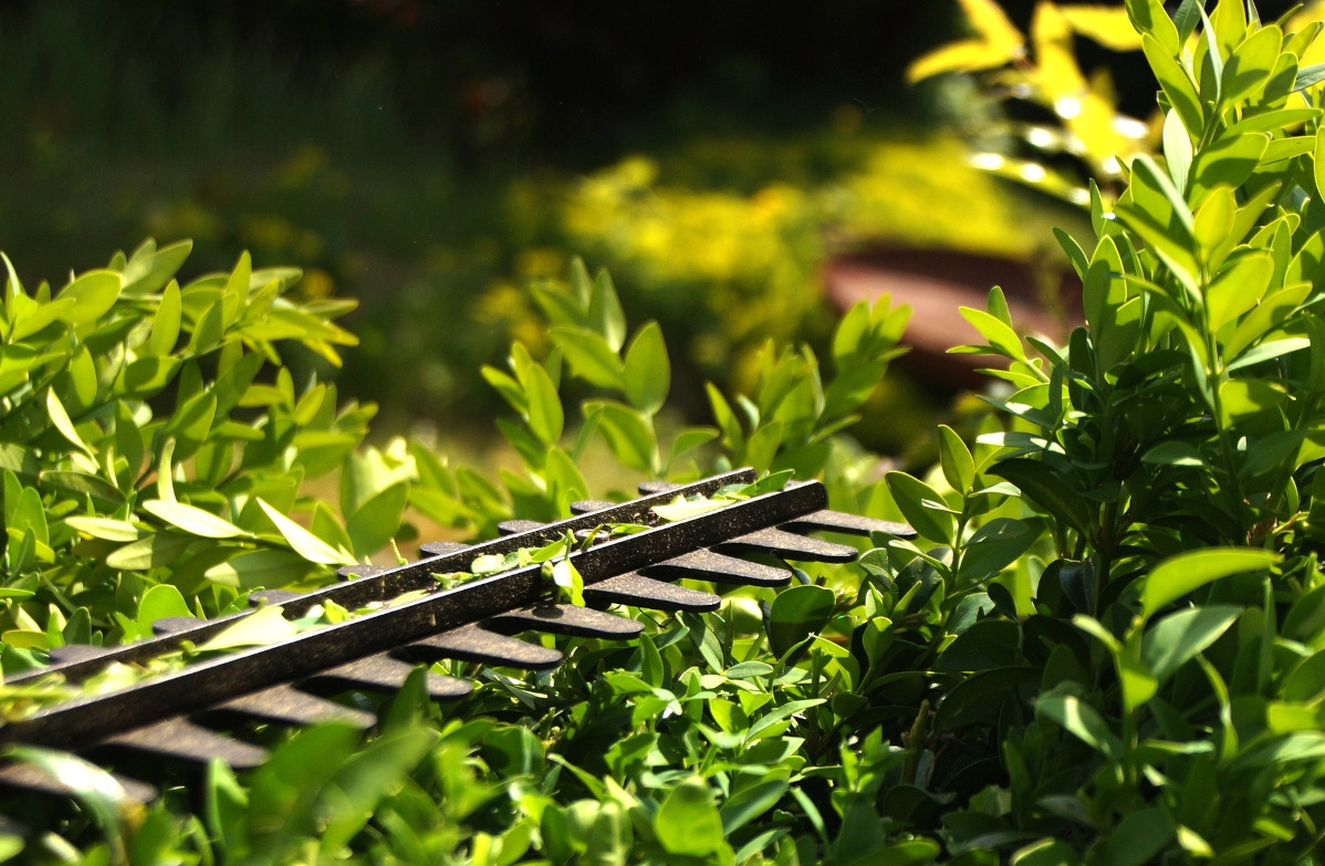 Gartenpflege